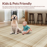 Ultra Soft Area Rug, Non Slip, Stain Resistant, Washable Area Rugs for Living Room, Bedroom, Contemporary Soft Tasseled Appeal(Beige)