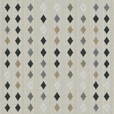 Ultra Soft Area Rug, Non Slip, Stain Resistant, Washable Area Rugs for Living Room, Bedroom, Contemporary Charcoal and Beige Design(Beige)