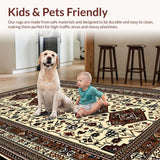 Ultra Soft Area Rug, Non Slip, Stain Resistant, Washable Area Rugs for Living Room, Bedroom, Luxurious Distressed Geometric Print(Beige)