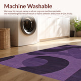 Ultra Soft Area Rug, Non Slip, Stain Resistant, Washable Area Rugs for Living Room, Bedroom, Vibrant Rich Tone with Shag Appeal(Purple)