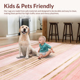 Ultra Soft Area Rug, Non Slip, Stain Resistant, Washable Area Rugs for Living Room, Bedroom, Stylish Contemporary Blush Color Palette(Pink)