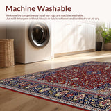 Ultra Soft Area Rug, Non Slip, Stain Resistant, Washable Area Rugs for Living Room, Bedroom, Luxurious Sherpa for(Red)