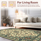 Ultra Soft Area Rug, Non Slip, Stain Resistant, Washable Area Rugs for Living Room, Bedroom, Natural Green Entryway Rug with Intricate Details(Beige)