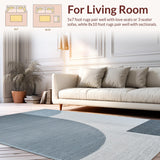 Ultra Soft Area Rug, Non Slip, Stain Resistant, Washable Area Rugs for Living Room, Bedroom, Contemporary Grey Abstract Living Room Stain-Resistant Rug(Gray)