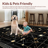 Ultra Soft Area Rug, Non Slip, Stain Resistant, Washable Area Rugs for Living Room, Bedroom, Sleek Neutral Color Block Design(Black)