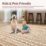 Ultra Soft Area Rug, Non Slip, Stain Resistant, Washable Area Rugs for Living Room, Bedroom, Boho Chic Area Brown Beige Geometric Patterned(Brown)