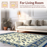 Ultra Soft Area Rug, Non Slip, Stain Resistant, Washable Area Rugs for Living Room, Bedroom, Classic Floral Artisan Collection(Beige)