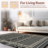 Contemporary Striped Ethnic Accent(Black)