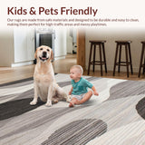 Ultra Soft Area Rug, Non Slip, Stain Resistant, Washable Area Rugs for Living Room, Bedroom, Sleek Modern Abstract Aesthetic(Gray)
