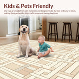 Ultra Soft Area Rug, Non Slip, Stain Resistant, Washable Area Rugs for Living Room, Bedroom, Elegant Hallway with Abstract Geometric Design in Beige(Beige)