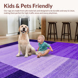 Ultra Soft Area Rug, Non Slip, Stain Resistant, Washable Area Rugs for Living Room, Bedroom, Chic Purple Shaggy Artistry(Purple)