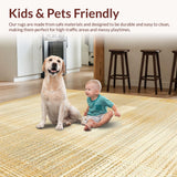 Ultra Soft Area Rug, Non Slip, Stain Resistant, Washable Area Rugs for Living Room, Bedroom, Textured Jute Boho Inspired Design(Gold)