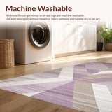 Ultra Soft Area Rug, Non Slip, Stain Resistant, Washable Area Rugs for Living Room, Bedroom, Fashionable Solid Hue Transitional Style(Purple)
