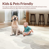 Ultra Soft Area Rug, Non Slip, Stain Resistant, Washable Area Rugs for Living Room, Bedroom, Ethereal Cloudscape Area Modern Beige Grey Blended(Beige)