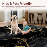 Ultra Soft Area Rug, Non Slip, Stain Resistant, Washable Area Rugs for Living Room, Bedroom, Elegant Contemporary Pattern(Black)