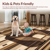 Ultra Soft Area Rug, Non Slip, Stain Resistant, Washable Area Rugs for Living Room, Bedroom, Contemporary Cozy Faux Fur Style(Brown)