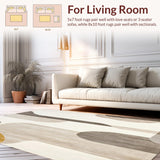 Ultra Soft Area Rug, Non Slip, Stain Resistant, Washable Area Rugs for Living Room, Bedroom, Beige Floor Non Slip Abstract Art for Modern Home Decor(Gray)