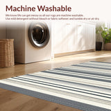 Ultra Soft Area Rug, Non Slip, Stain Resistant, Washable Area Rugs for Living Room, Bedroom, Elegant Neutral Striped Aesthetic(Black)
