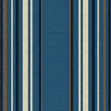 Ultra Soft Area Rug, Non Slip, Stain Resistant, Washable Area Rugs for Living Room, Bedroom, Outdoor Rustic Patio Welcome Mat for Anglers(Blue)