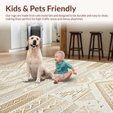 Ultra Soft Area Rug, Non Slip, Stain Resistant, Washable Area Rugs for Living Room, Bedroom, Rustic Woven Textured Pattern(Beige)