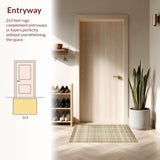 Ultra Soft Area Rug, Non Slip, Stain Resistant, Washable Area Rugs for Living Room, Bedroom, Contemporary Soft Tasseled Appeal(Beige)