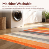 Ultra Soft Area Rug, Non Slip, Stain Resistant, Washable Area Rugs for Living Room, Bedroom, Chic Minimalist Tassel Accents(Orange)