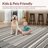 Ultra Soft Area Rug, Non Slip, Stain Resistant, Washable Area Rugs for Living Room, Bedroom, Elegant Minimalist Lattice Design(Black)