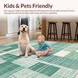 Ultra Soft Area Rug, Non Slip, Stain Resistant, Washable Area Rugs for Living Room, Bedroom, Modern Abstract Seafoam Rug(Gray)