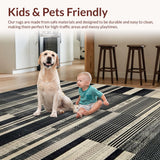 Ultra Soft Area Rug, Non Slip, Stain Resistant, Washable Area Rugs for Living Room, Bedroom, Rustic Natural Tone Patterned Textile(Black)