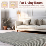 Ultra Soft Area Rug, Non Slip, Stain Resistant, Washable Area Rugs for Living Room, Bedroom, 3x10' Indoor Outdoor Runner Rug(Gray)