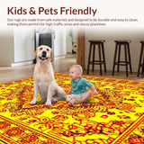 Ultra Soft Area Rug, Non Slip, Stain Resistant, Washable Area Rugs for Living Room, Bedroom, Soft Pom Pom Fringe Accents(Yellow)