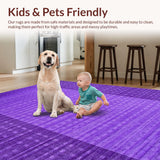 Ultra Soft Area Rug, Non Slip, Stain Resistant, Washable Area Rugs for Living Room, Bedroom, Trendy Soft Modern Viscosity(Purple)