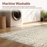 Ultra Soft Area Rug, Non Slip, Stain Resistant, Washable Area Rugs for Living Room, Bedroom, Boho Chic Area Featuring Abstract Diamond Lattice and Faded Tribal(Beige)