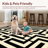 Ultra Soft Area Rug, Non Slip, Stain Resistant, Washable Area Rugs for Living Room, Bedroom, Contemporary Linear Geometric Motif(Beige)