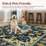 Ultra Soft Area Rug, Non Slip, Stain Resistant, Washable Area Rugs for Living Room, Bedroom, Neutral Bath for Bathroom Quick Dry Non Slip Microfiber(Blue)