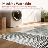 Ultra Soft Area Rug, Non Slip, Stain Resistant, Washable Area Rugs for Living Room, Bedroom, Shadowplay Graphic Black & White Woven Rug(Black)