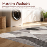 Ultra Soft Area Rug, Non Slip, Stain Resistant, Washable Area Rugs for Living Room, Bedroom, Sleek Modern Abstract Aesthetic(Gray)