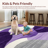 Ultra Soft Area Rug, Non Slip, Stain Resistant, Washable Area Rugs for Living Room, Bedroom, Contemporary Chic Geometric Fusion(Purple)