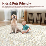 Ultra Soft Area Rug, Non Slip, Stain Resistant, Washable Area Rugs for Living Room, Bedroom, Elegant Shag Tiled Aesthetic(Beige)