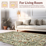 Ultra Soft Area Rug, Non Slip, Stain Resistant, Washable Area Rugs for Living Room, Bedroom, Vintage Botanical Cream Aesthetic(Ivory)
