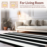 Ultra Soft Area Rug, Non Slip, Stain Resistant, Washable Area Rugs for Living Room, Bedroom, Stylish Modern Geometric Lines(Black)