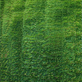 Elegant Four Tone Natural Landscape(Green)