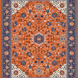 Ultra Soft Area Rug, Non Slip, Stain Resistant, Washable Area Rugs for Living Room, Bedroom, Chic Soft Color Palette Inspiration(Orange)