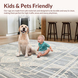 Ultra Soft Area Rug, Non Slip, Stain Resistant, Washable Area Rugs for Living Room, Bedroom, Platinum Ivory Graphic Area Rug for High Traffic Areas(Gray)