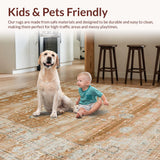 Ultra Soft Area Rug, Non Slip, Stain Resistant, Washable Area Rugs for Living Room, Bedroom, Chic Elegant Geometric Accents(Brown)