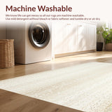 Ultra Soft Area Rug, Non Slip, Stain Resistant, Washable Area Rugs for Living Room, Bedroom, Dreamscape Beige Gentle Comfort for Modern Interior(Beige)