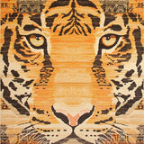Ultra Soft Area Rug, Non Slip, Stain Resistant, Washable Area Rugs for Living Room, Bedroom, Stylish Soft Camel Aesthetic(Orange)