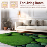 Ultra Soft Area Rug, Non Slip, Stain Resistant, Washable Area Rugs for Living Room, Bedroom, Ultra-Soft Plush Living Room Earth Rug(Green)