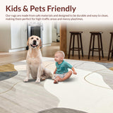 Ultra Soft Area Rug, Non Slip, Stain Resistant, Washable Area Rugs for Living Room, Bedroom, Elegant Cream Abstract Area Modern Artistic Decor(Gray)
