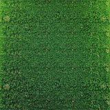 Ultra Soft Area Rug, Non Slip, Stain Resistant, Washable Area Rugs for Living Room, Bedroom, Serene Nature-Inspired Green Palette(Green)
